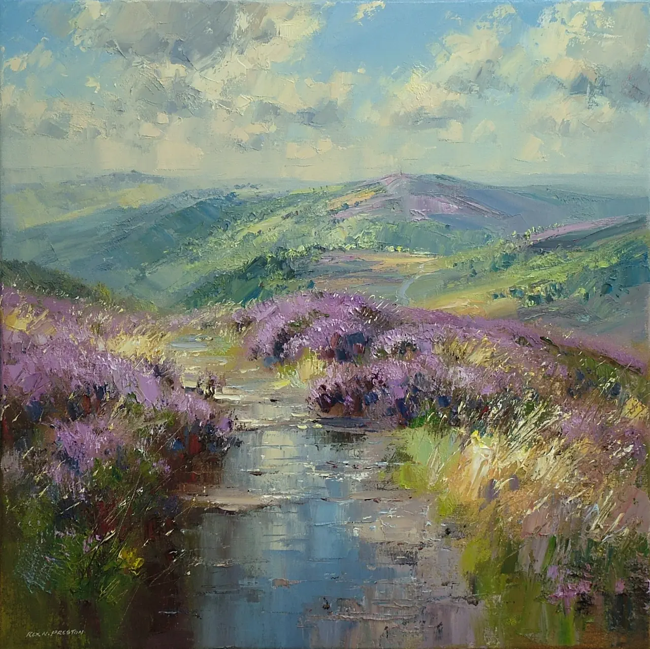 Rex Preston - view from burbage moor, derbyshire